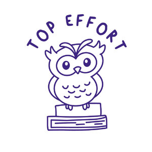 Australian Teaching Aids Merit Stamp - Top Effort Owl