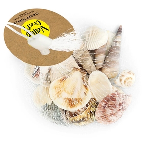 Value Craft Sea Shells Assorted